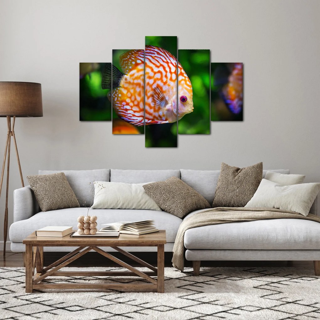 Obraz ryby (150x105 cm)