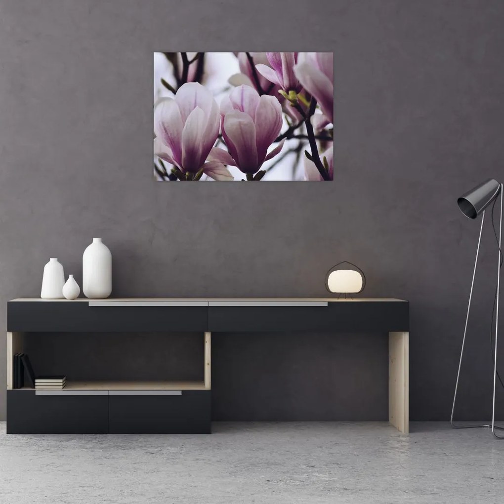 Sklenený obraz - Magnolie (70x50 cm)