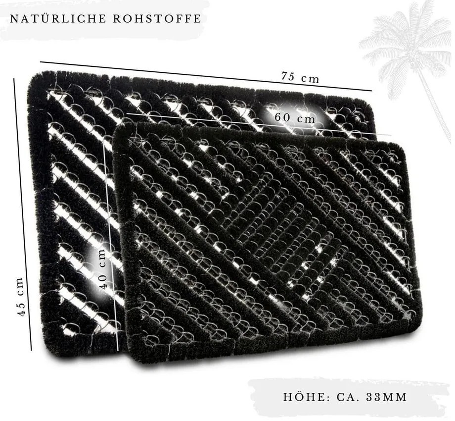 Rohožka z kokosového vlákna 45x75 cm Coco Black – Hanse Home
