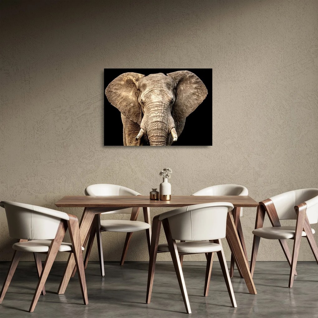 Sklenený obraz - Slon africký (70x50 cm)