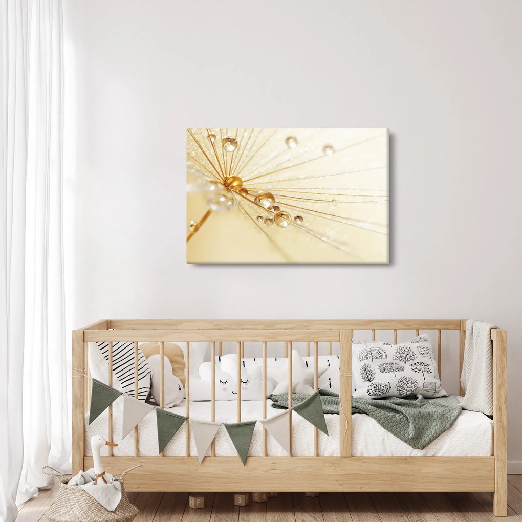 Obraz - Makro fotografie púpavy (90x60 cm)