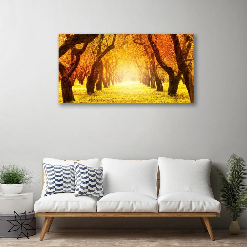 Obraz Canvas Les chodník stromy príroda 125x50 cm