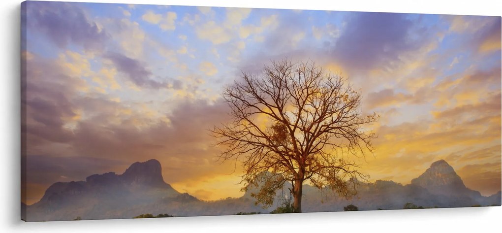 Obraz - Krajina so slnečnicami (120x50 cm)