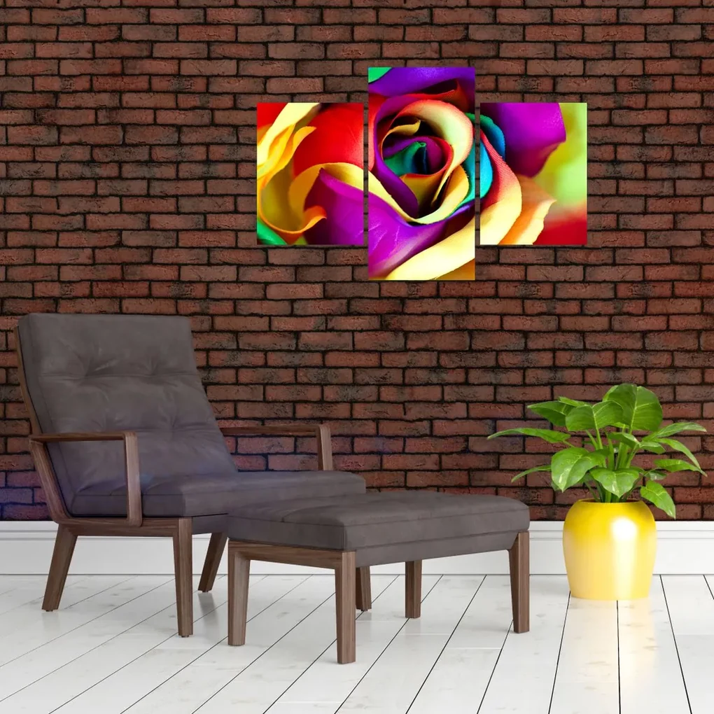 Obraz - Farebná ruža (90x60 cm)