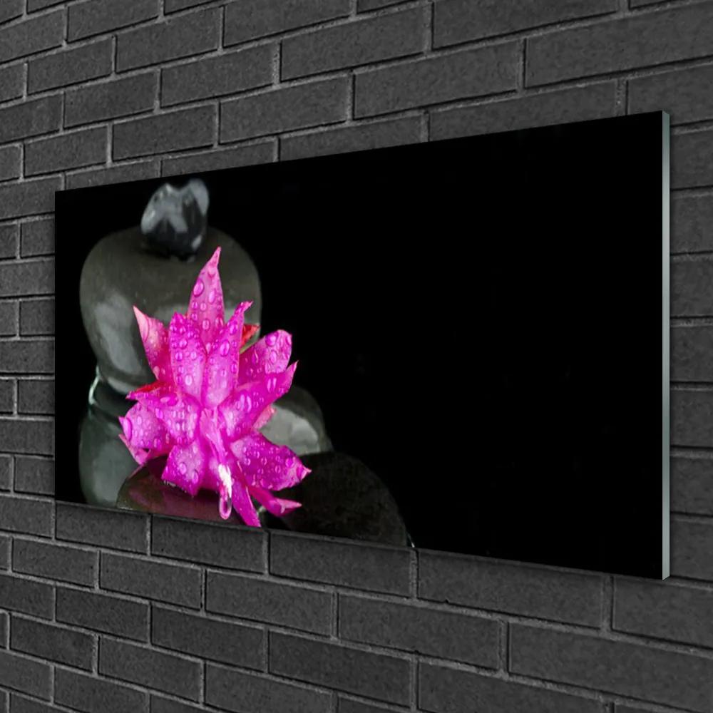 Obraz na skle Kvet kamene rastlina 120x60 cm