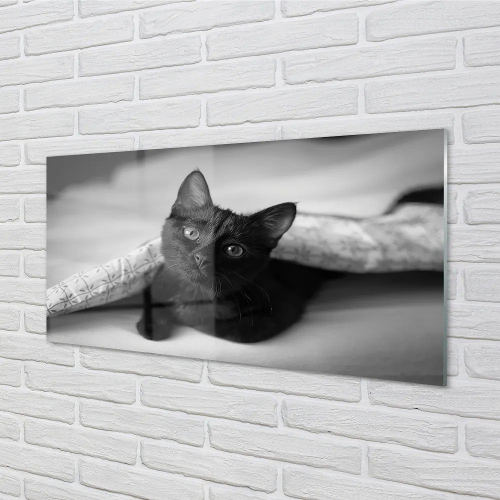 Nástenný panel  Mačka pod prikrývkou 120x60 cm