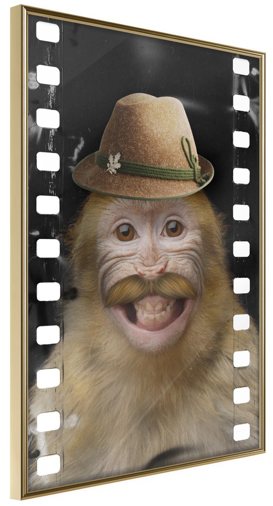 Artgeist Plagát - Monkey In Hat [Poster] Veľkosť: 20x30, Verzia: Zlatý rám s passe-partout
