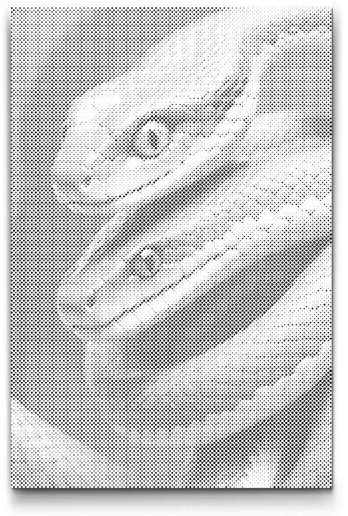 Gario Bodkovanie Hady v odtieňoch tmavo tyrkysovej Rozmery: 40 x 60 cm, Rámovanie: S vnútorným rámom, Farba bodiek: Modrá