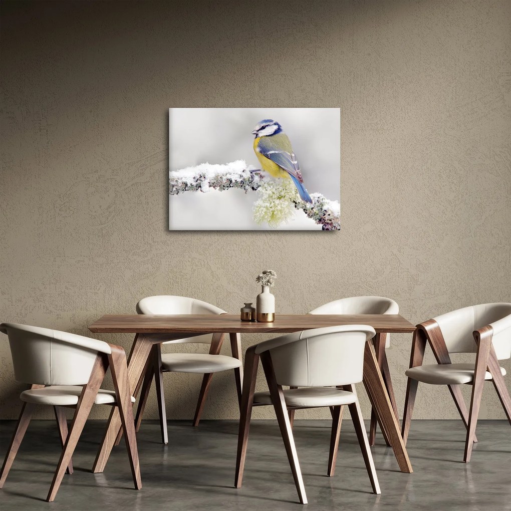 Obraz - Sýkorka modrinka v lese (70x50 cm)