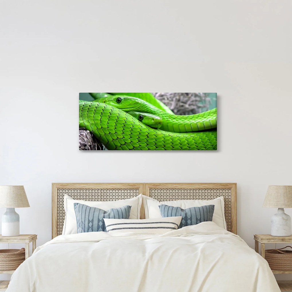 Obraz zelených hadov (120x50 cm)