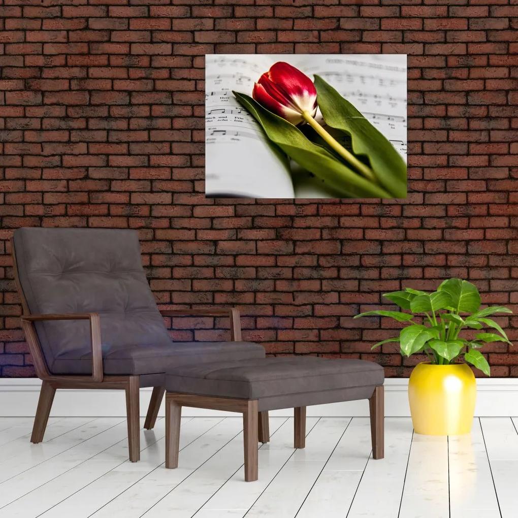 Sklenený obraz červeného tulipánu (70x50 cm)