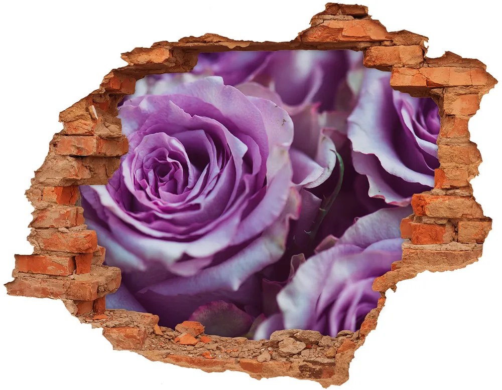 Samolepiaca diera nálepka betón Fialové ruže nd-c-106010688