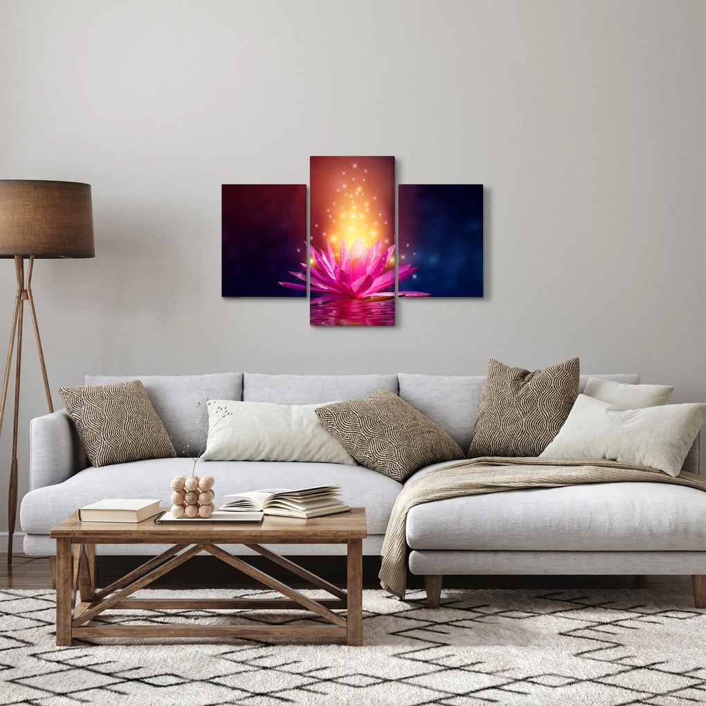 Obraz lekna na vode (90x60 cm)