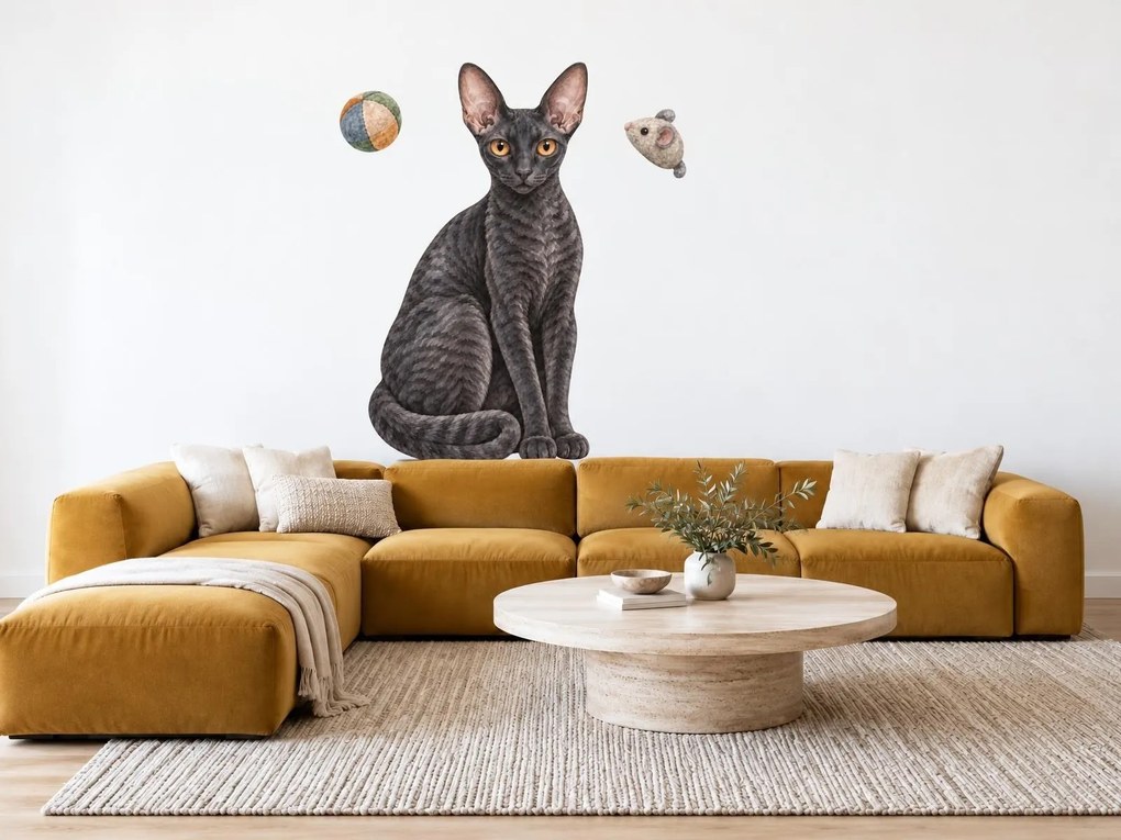 Mačka cornish rex tmavé mačacie nálepky na stenu pre milovníkov mačiek arch 30 x 46 cm