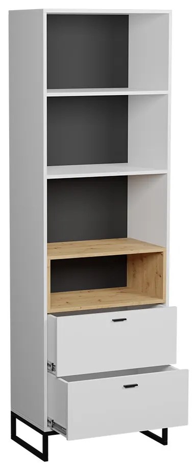 Knižnica Olier R60 OL04, Farby: biely / biely + dub artisan