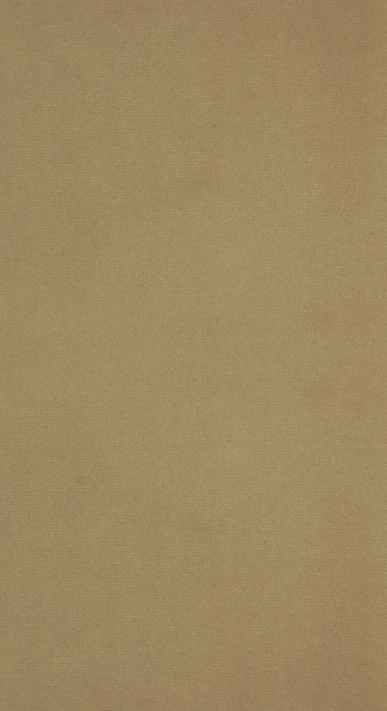 ZATEMŇOVACÍ ZÁVES NA KRÚŽKOCH ANTARA 140X270 CM TMAVOBÉŽOVÁ