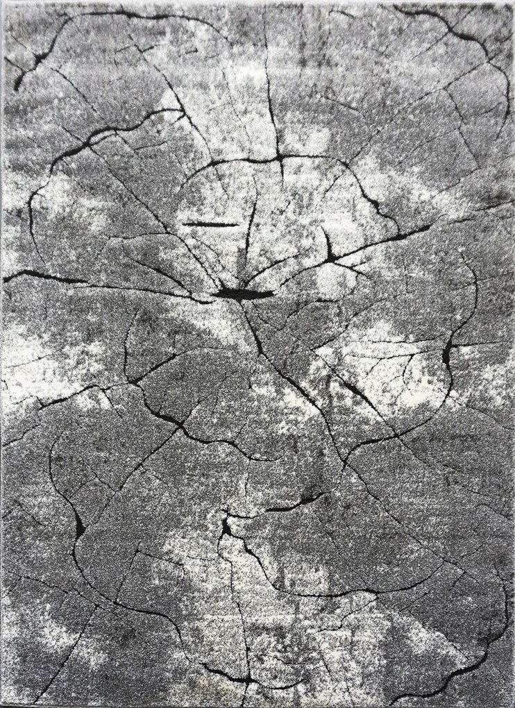 Koberec Miami 129 GREY – sivý obdĺžnikový koberec so vzorom Rozmer: 160x220 cm