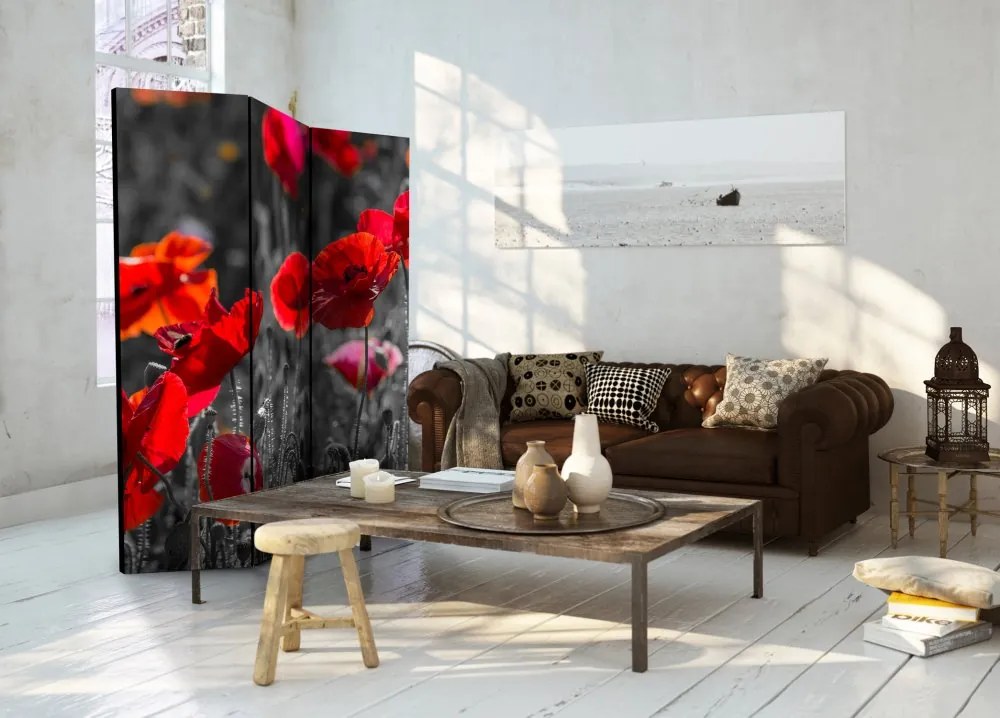 Artgeist Paraván - Red Poppies [Room Dividers]