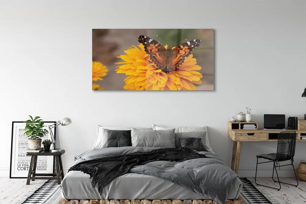 Obraz na akrylátovom skle Farebný motýľ kvetina 140x70 cm