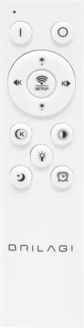 BRILAGI - Stmievateľné LED stropné svietidlo MODERN LED/67W/230V 46x55 cm + DO