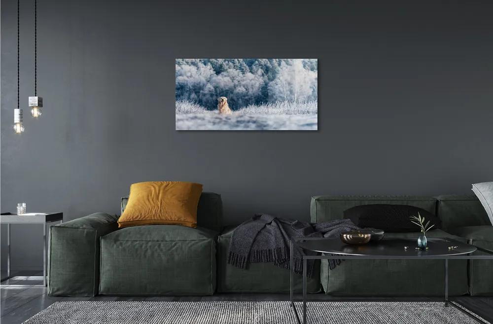 Sklenený obraz Zime salašnícky pes 120x60 cm
