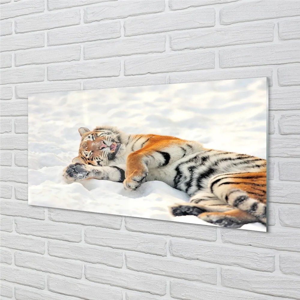 Sklenený obraz Tiger winter 125x50 cm