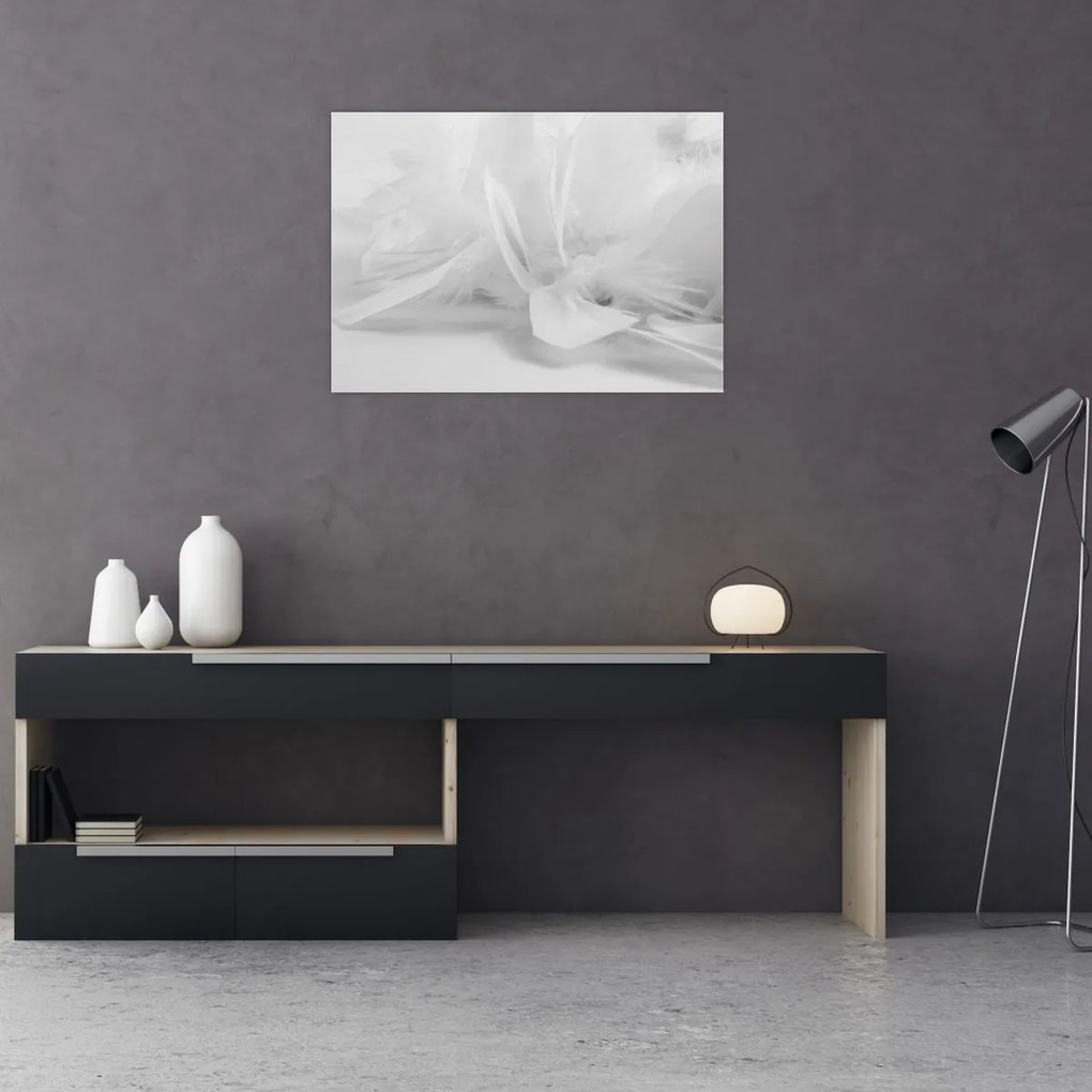 Obraz - Perie (70x50 cm)