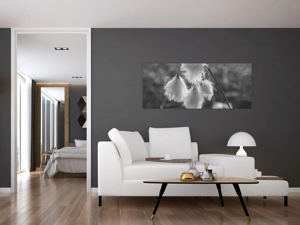 Obraz - Cottongrass (120x50 cm)