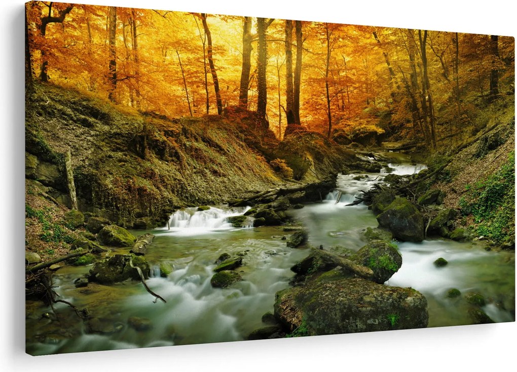 Obraz - Les (90x60 cm)