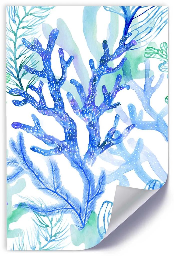 Gario Plagát Morské rastliny a koraly Farba rámu: Bez rámu, Rozmery: 20 x 30 cm