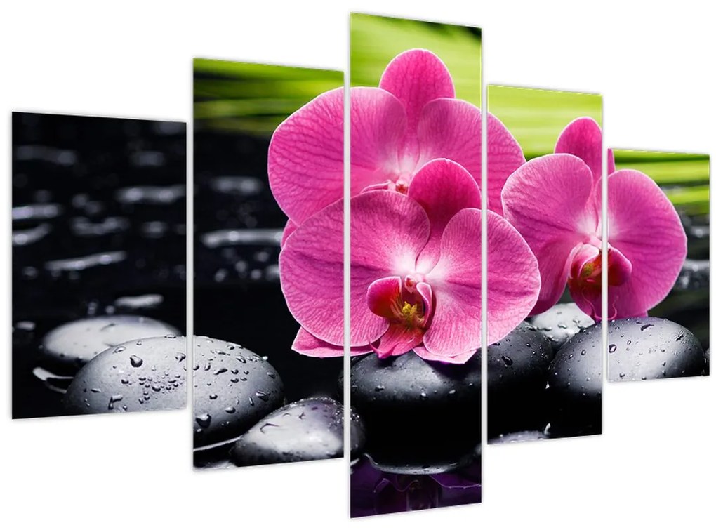 Obraz - Ružové orchidey s palmovým listom (150x105 cm)