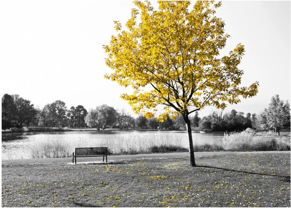 Sklenený obraz - Odpočinok v parku (70x50 cm)