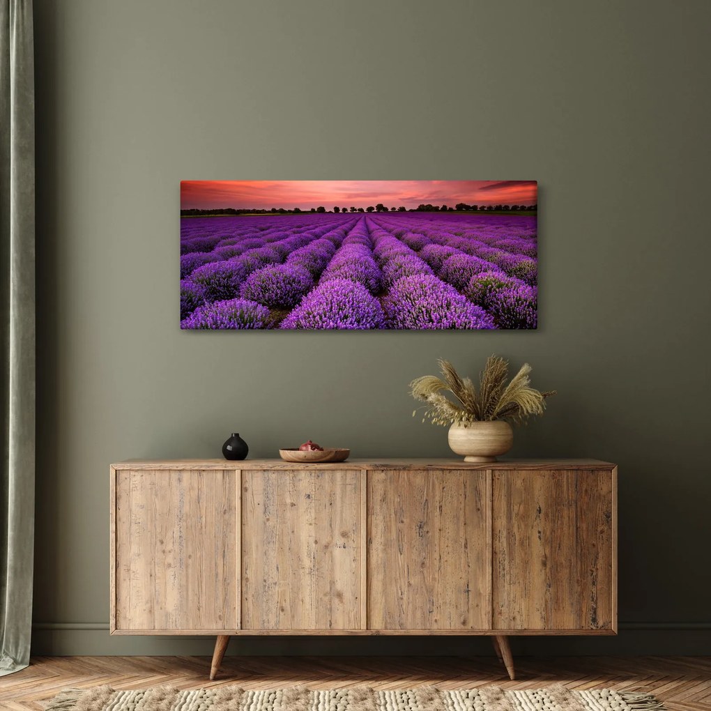 Obraz - Levanduľové pole (120x50 cm)