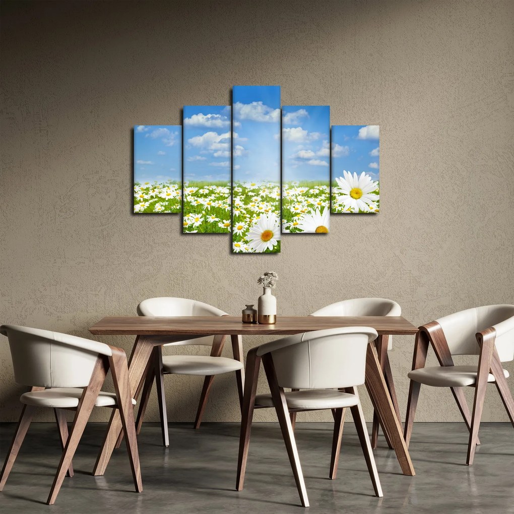 Obraz rozkvitnutej lúky s margarétkami (150x105 cm)