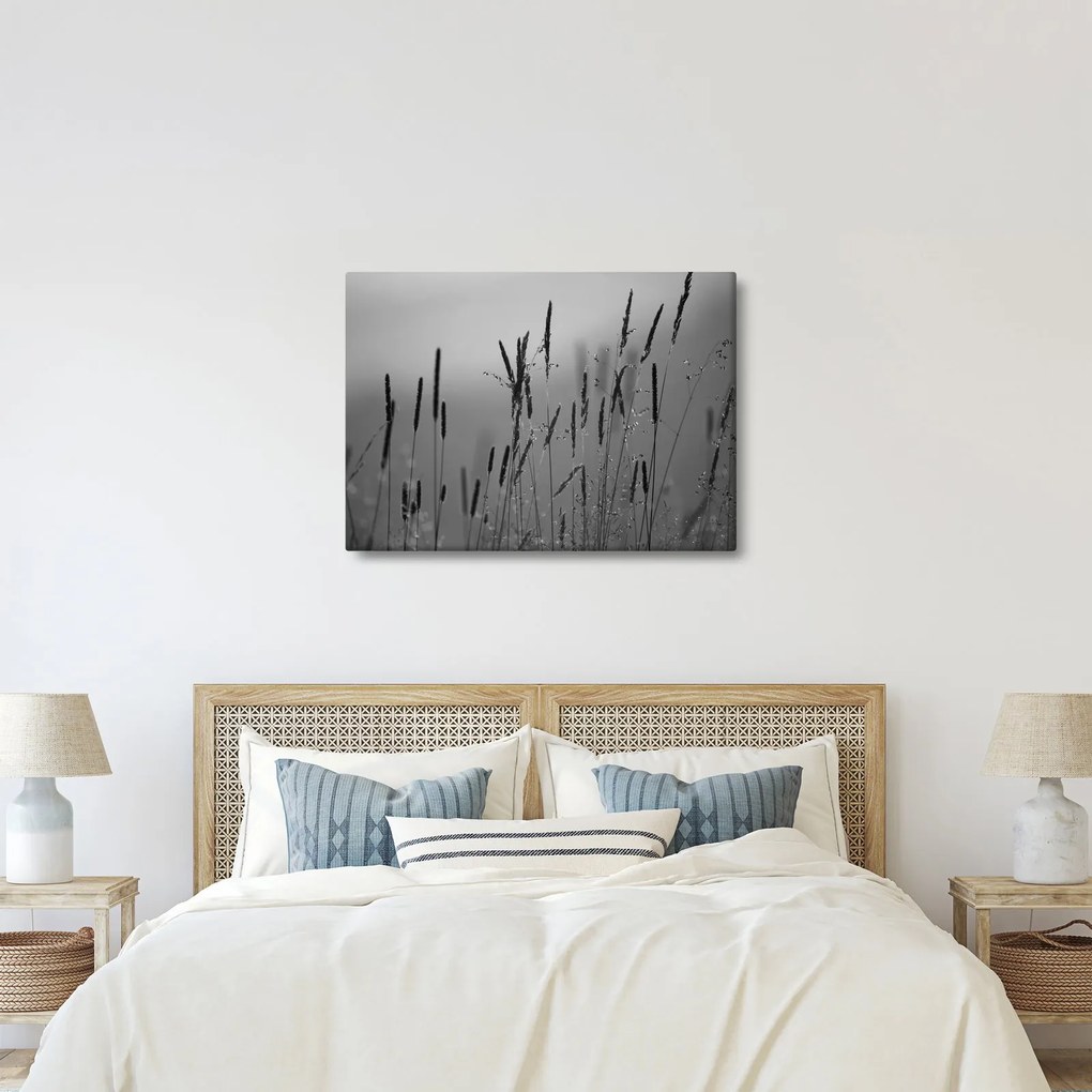 Obraz - Steblá trávy (70x50 cm)