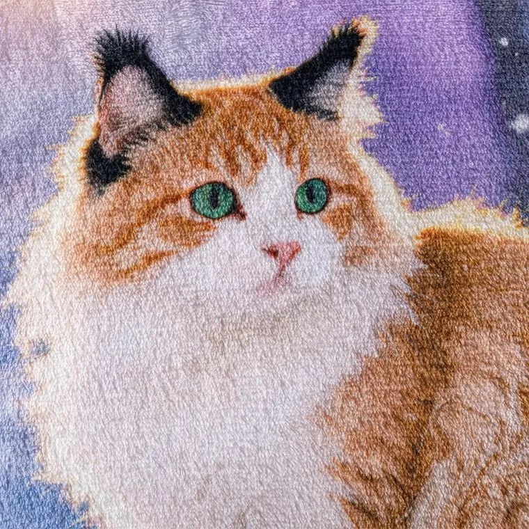 Súprava 2 ks obliečok na vankúšiky z mikroplyšu SNOW CAT 45 x 45 cm