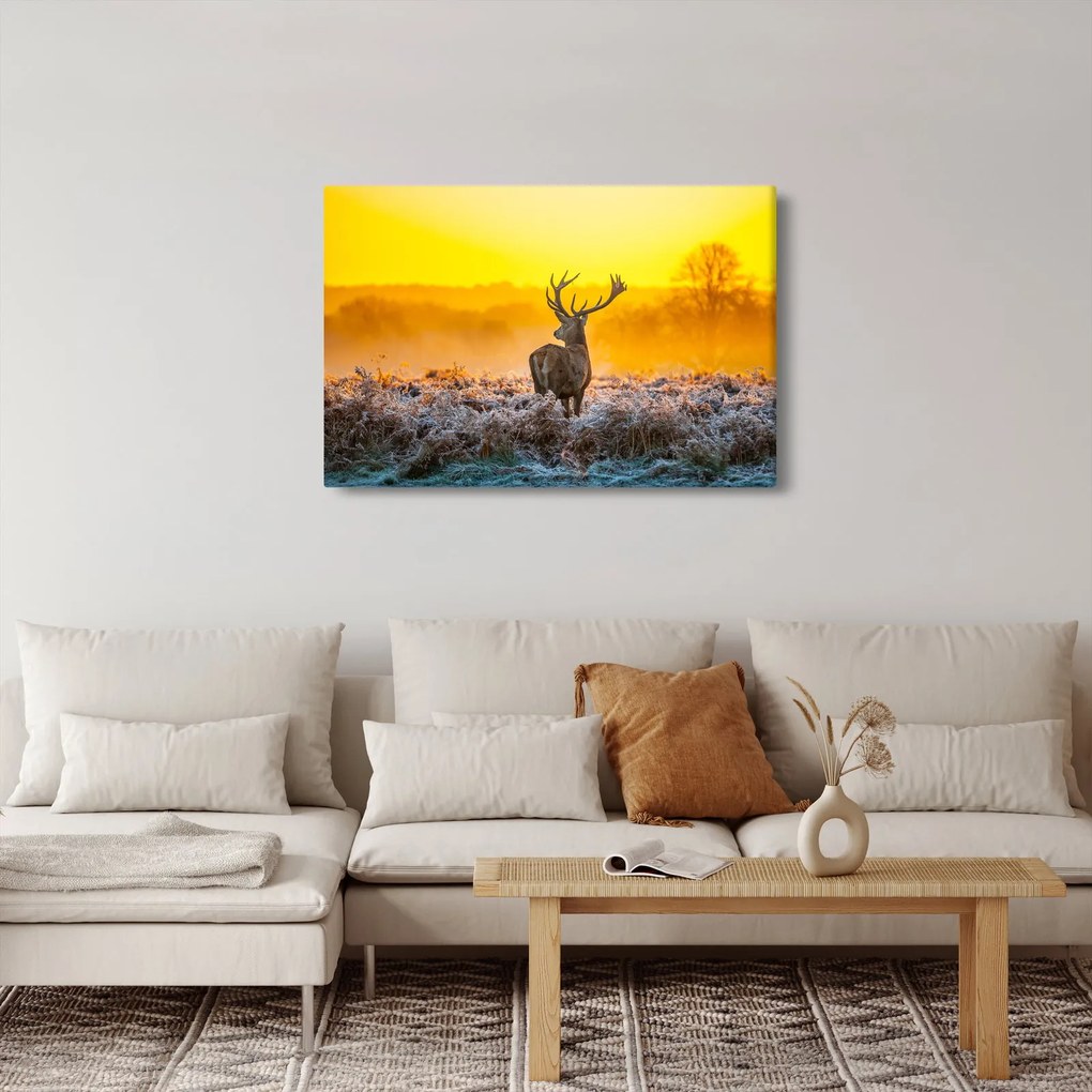 Obraz - Jeleň pri východe slnka (90x60 cm)