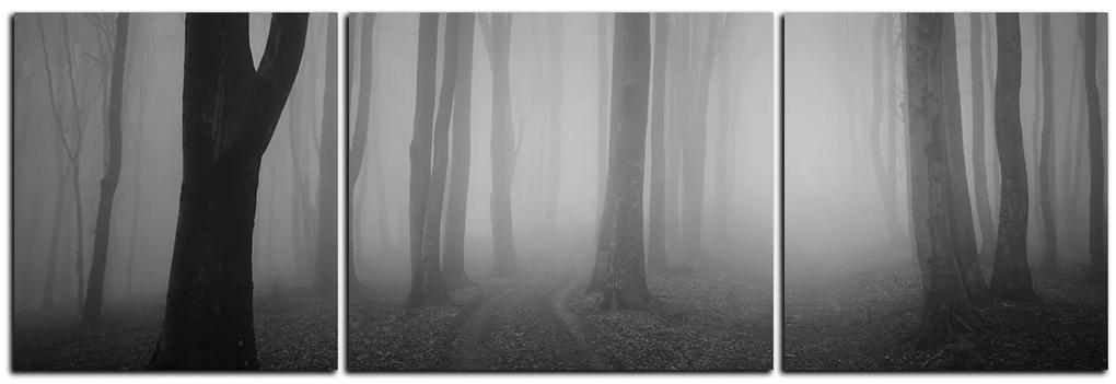Obraz na plátne - Hmla v lese - panoráma 5182QC (150x50 cm)