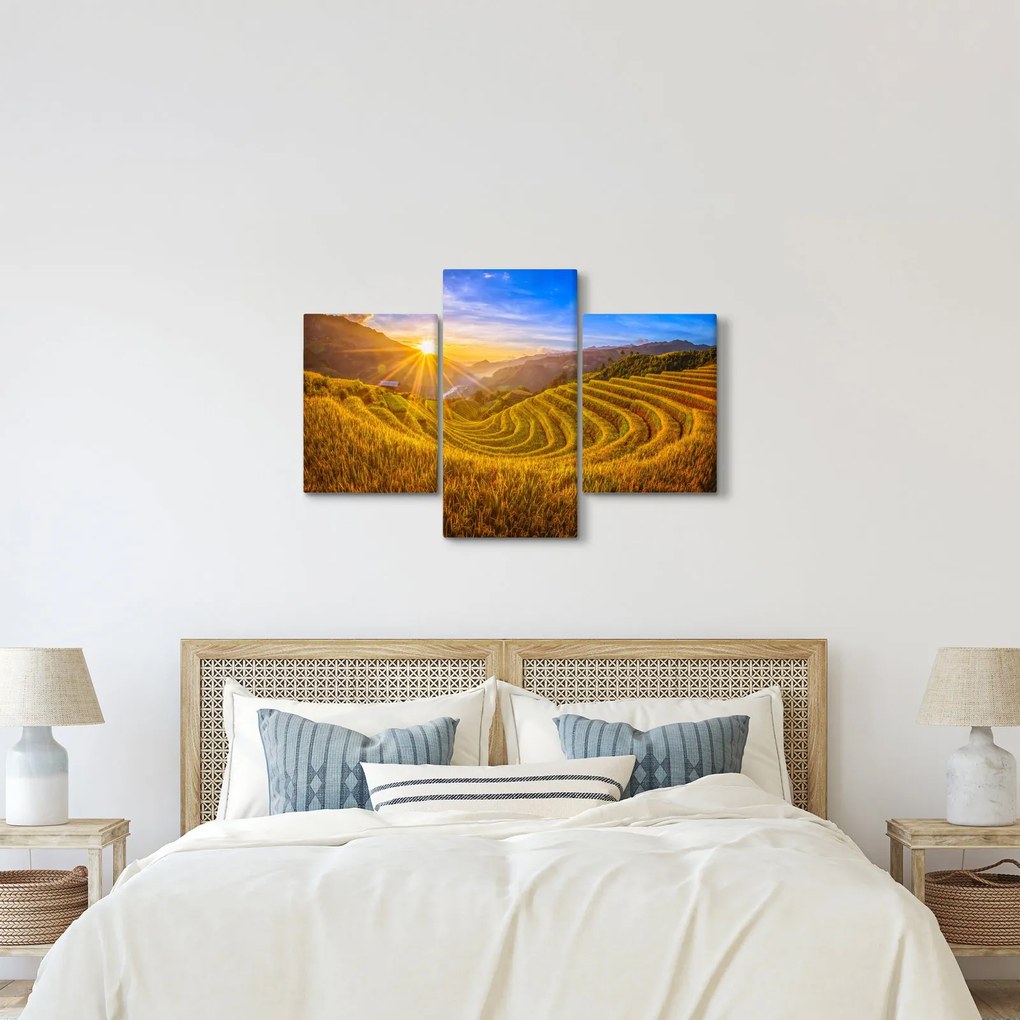 Obraz - Ryžové terasy vo Vietname (90x60 cm)