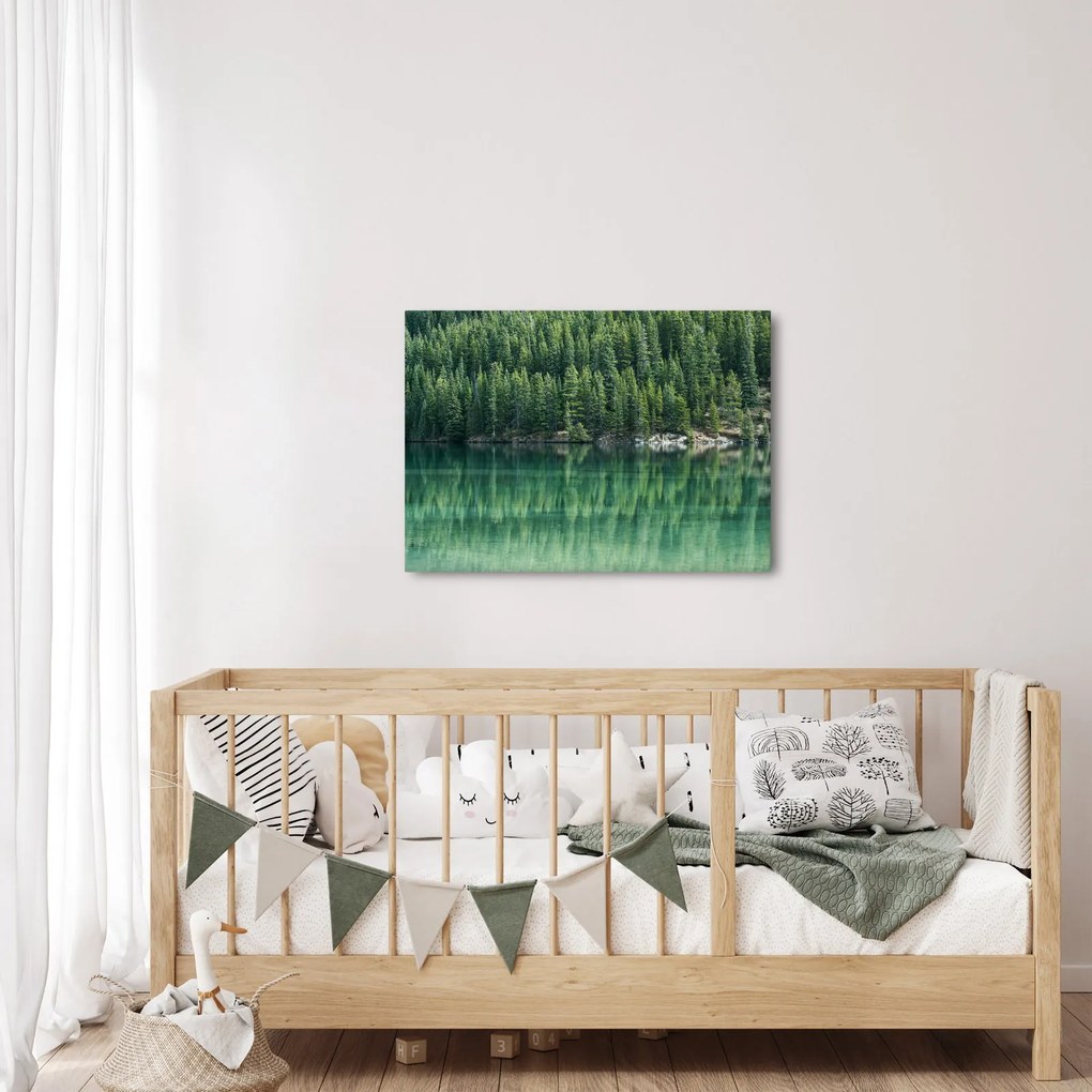 Obraz - Ihličnany pri jazere (70x50 cm)