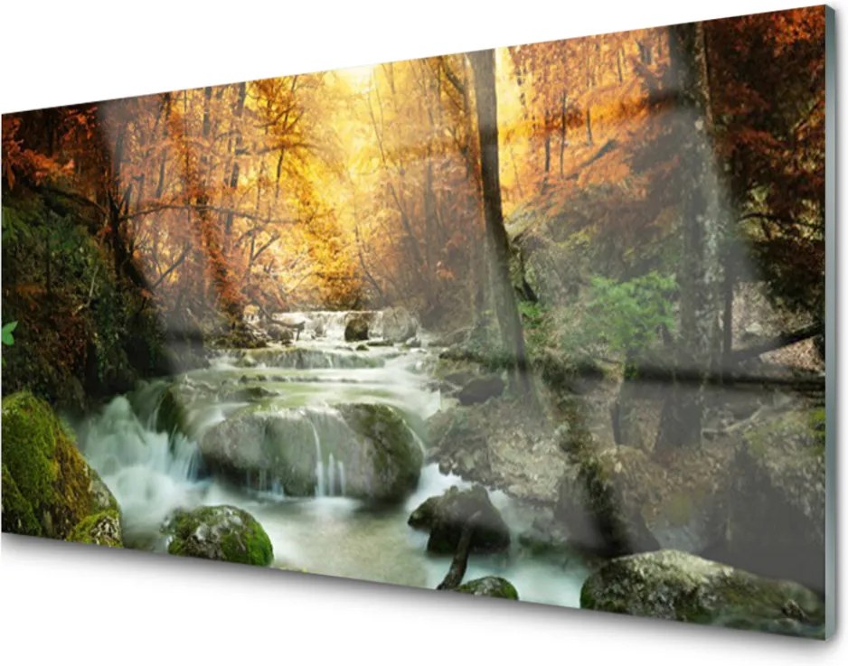 Skleněný obraz Vodopád Příroda Les Podzim