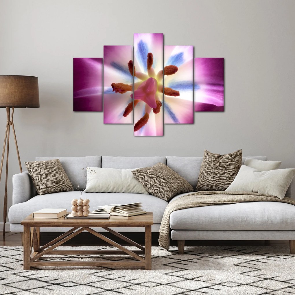 Obraz - Kvet tulipánu v detailu (150x105 cm)