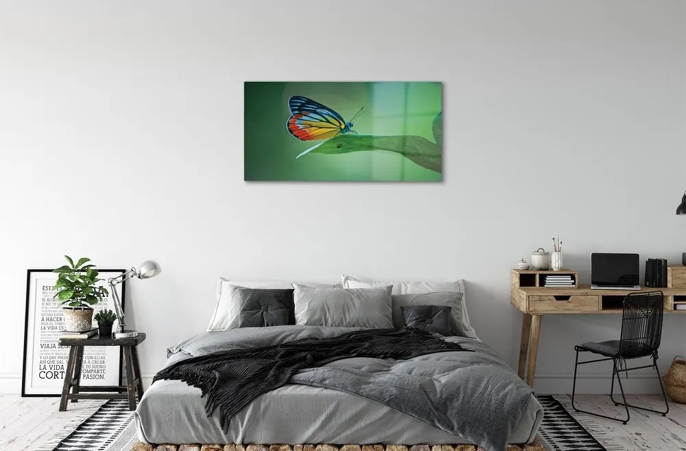 Sklenený obraz Farebný motýľ krídlo 125x50 cm