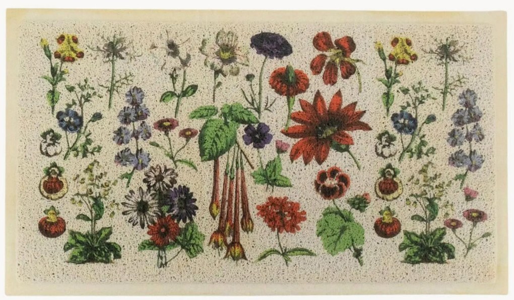 Rohožka do interiéru/exteriéru Botanicals