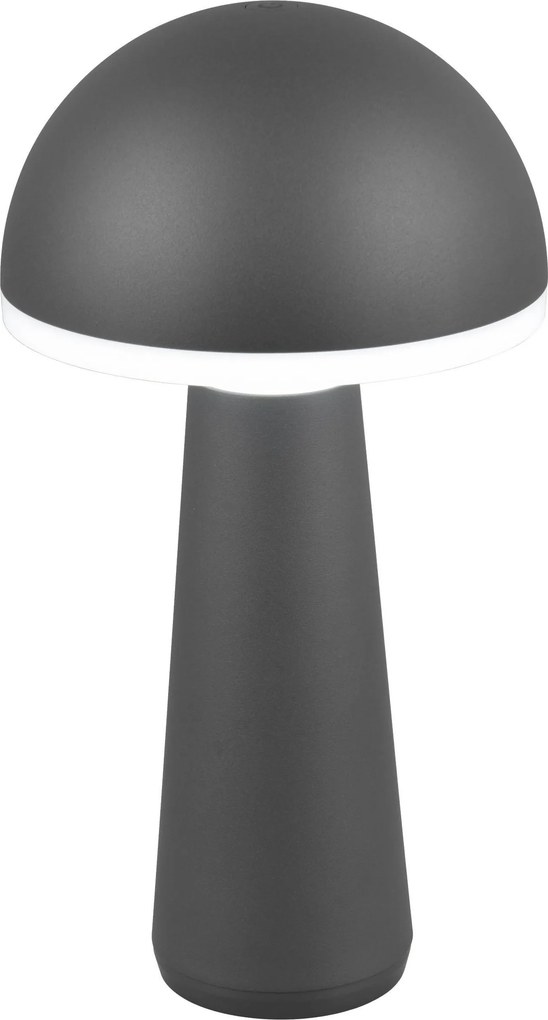 XXXLutz VONKAJŠIE LED SVIETIDLO, 16/31 cm - Série svietidiel - 007694037204