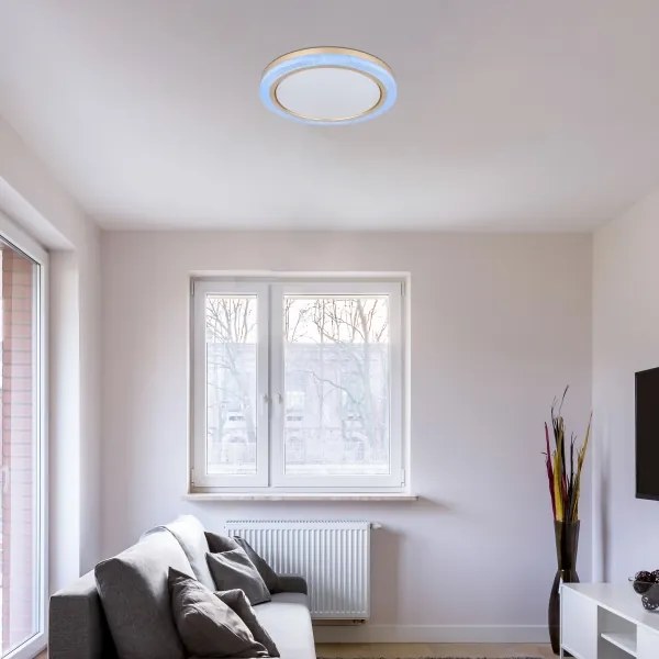 Globo 41372-24 - LED RGBW Stmievateľné stropné svietidlo BOLLY LED/20W/230V + DO