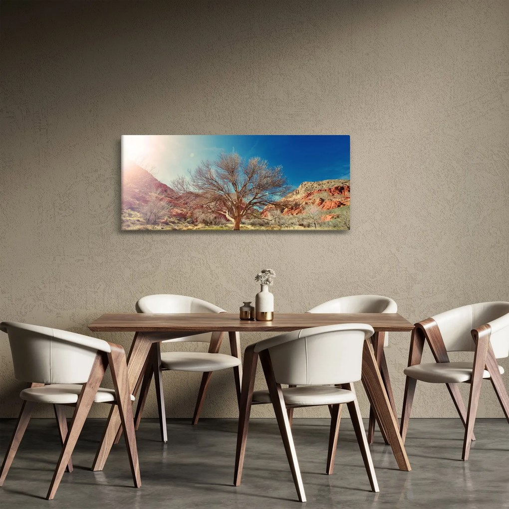 Obraz stromu v púšti (120x50 cm)