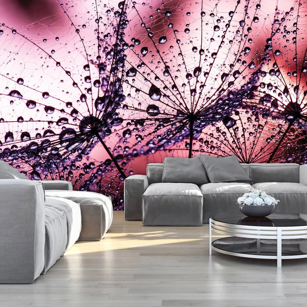 Fototapeta - Púpavy - abstraktné - fialové (152,5x104 cm)