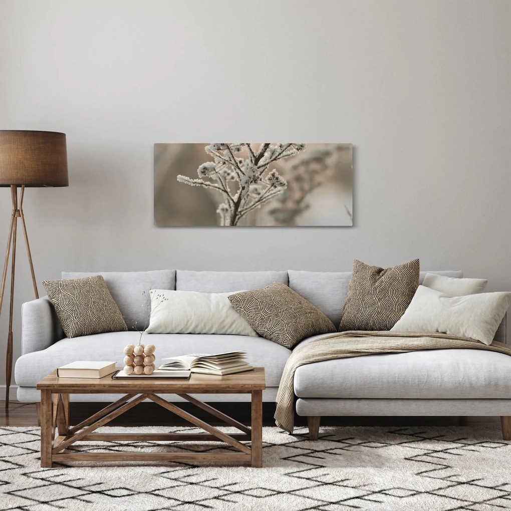 Obraz - Rastlina v mraze (120x50 cm)
