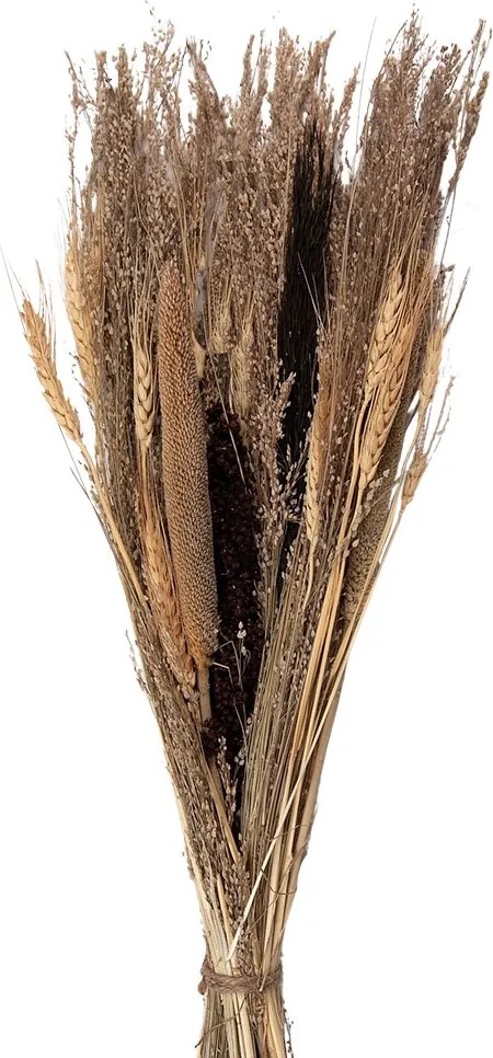 Béžovo-hnedá kytica sušených kvetov - 18*6*60 cm